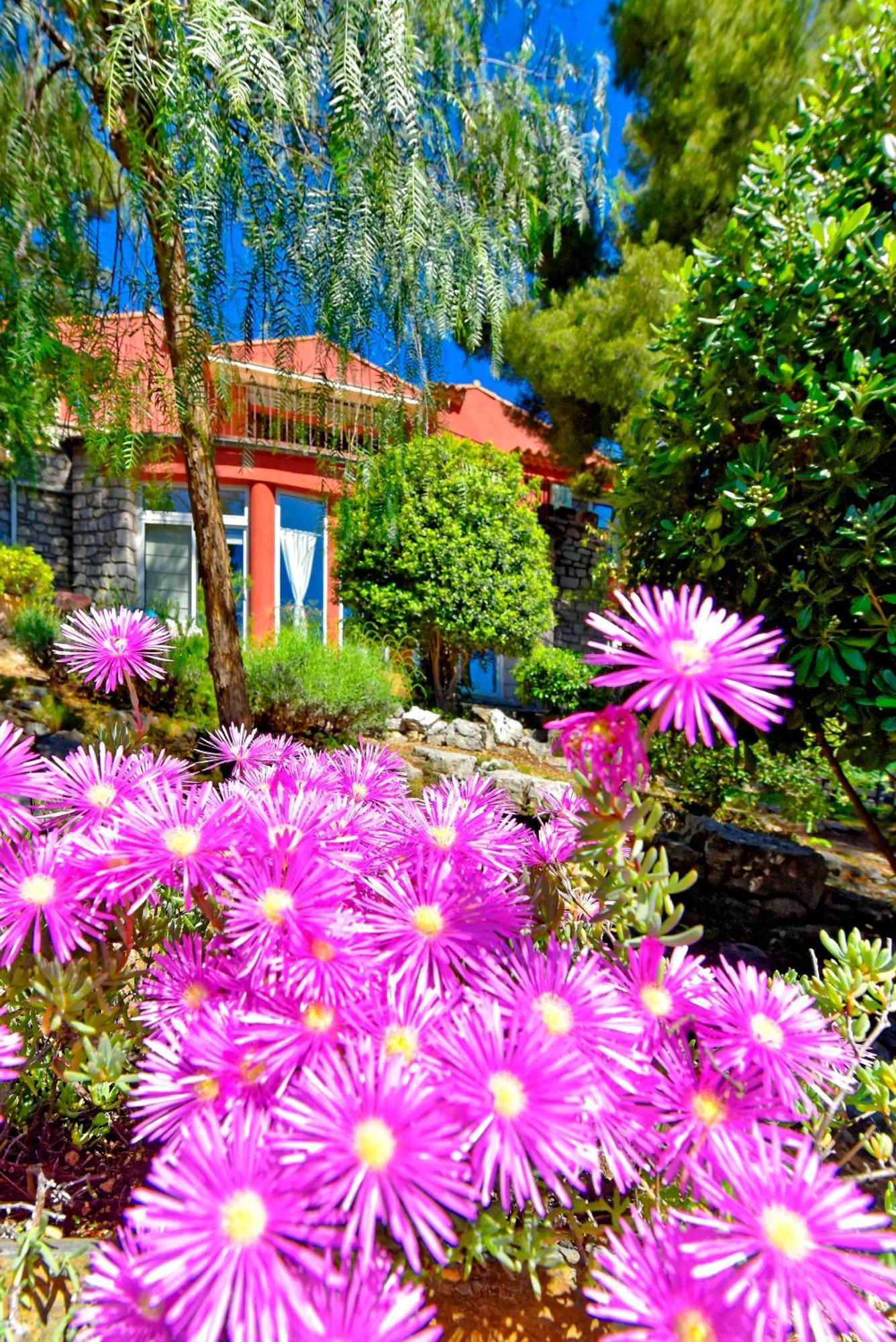 Appartements Avec Jardin Dans Villa Rocaille Cassis Dış mekan fotoğraf